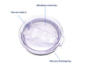 DRINKONLOVE - TEAM LEADER SALMON PINK - Drinkbeker met rvs rietje - RVS - Zalm roze - 12 uur koud - 6 uur warm - 600ML - 20,5 cm hoog